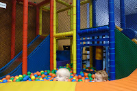 Never too little to play