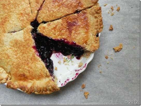 blueberry-limoncello-pie-with-sourdough-crust-2 blueberry-limoncello-pie-with-sourdough-crust-2