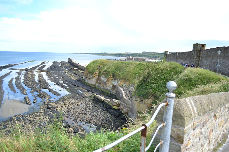 DSC_0199