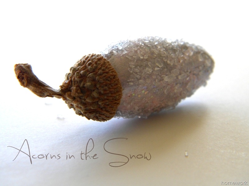 [Acorns-6A3.jpg]