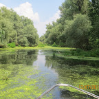 IMG_3480.JPG