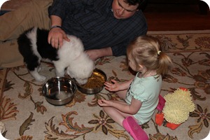 IMG_1341e