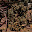 untitled album - 245.jpg