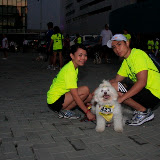Pet Express Doggie Run 2012 Philippines. Jpg (6).JPG
