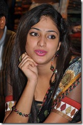 Hari-Priya-Hot-Saree-Pic_closeup