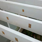 IMG_20101217_080154.jpg