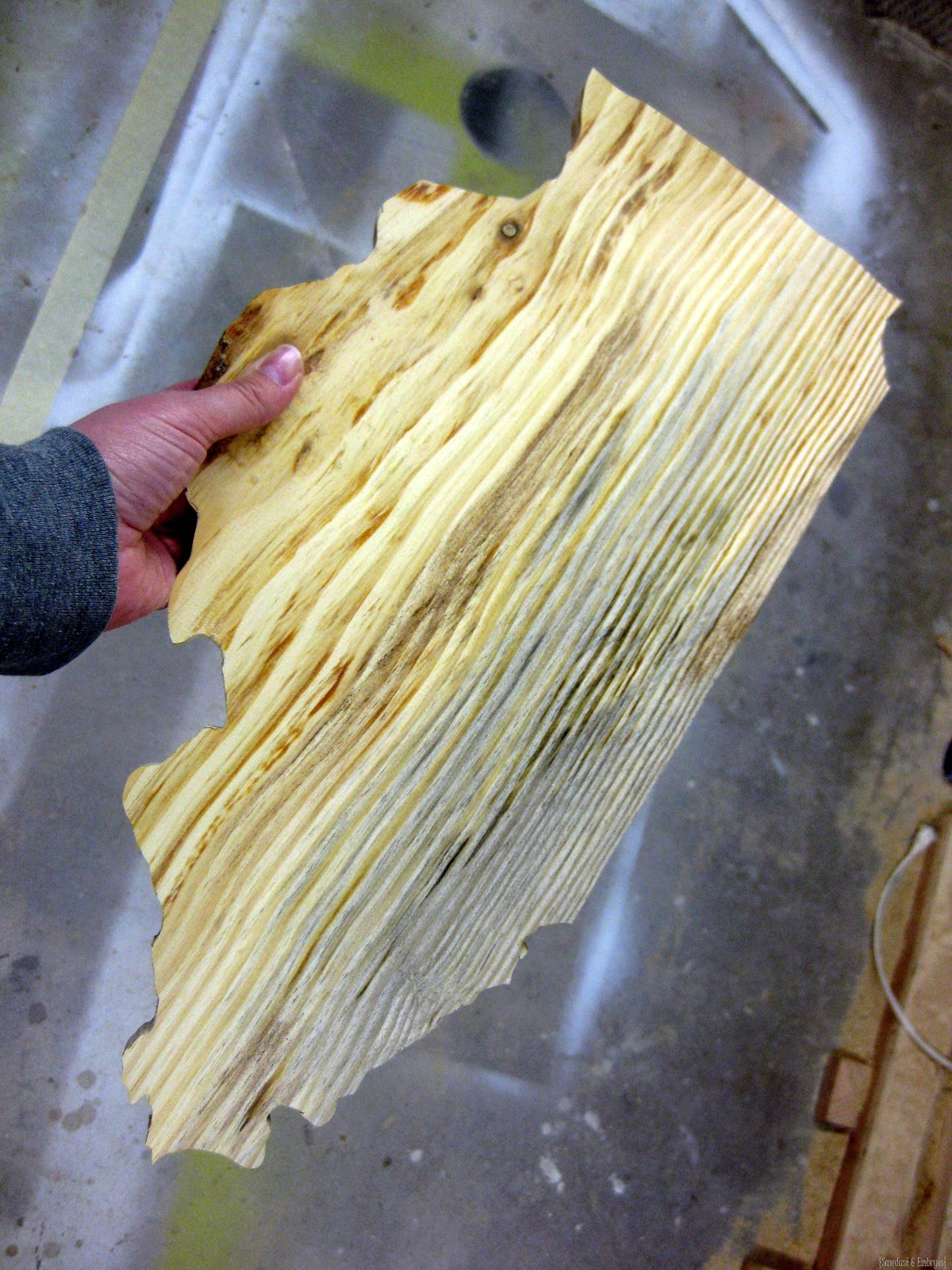 [Cut%2520your%2520state%2520out%2520of%2520wood...%2520WALL%2520ART%2521%2520%257BSawdust%2520and%2520Embryos%257D%255B4%255D.jpg]