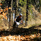 Fotosoutěž Chp 2010 - Karel Rous