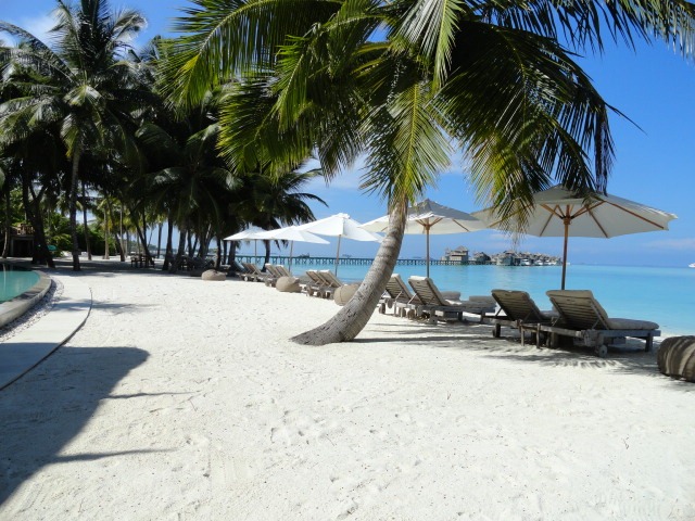 [DSC00293.jpg]