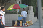 IMG_7986.JPG