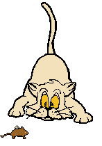 acatmouse2