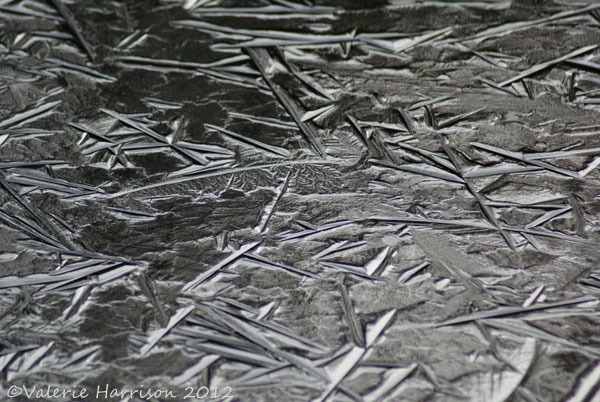 [17-ice%255B2%255D.jpg]
