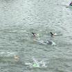 DSC_0096.jpg
