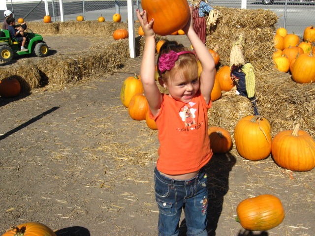[IMG_1140%255B3%255D.jpg]