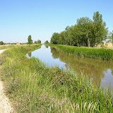 09/07. Il canale Castilla ci accompagna, dando un tocco di verde ai campi, fino a Fromista.