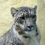 Lakeland Wildlife Oasis