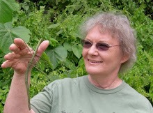 Glenda Larke 1 Glenda Larke 1