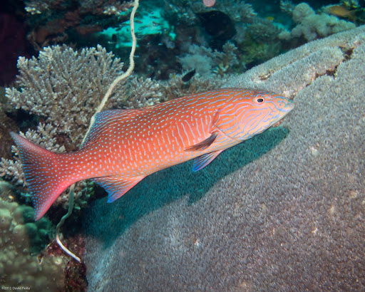 P7085173