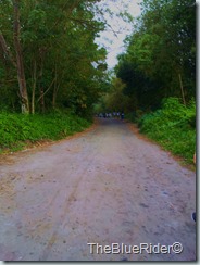 WP_000097 WP_000097