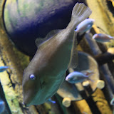IMG_4811.JPG