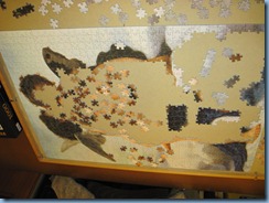 IMG_0554 IMG_0554