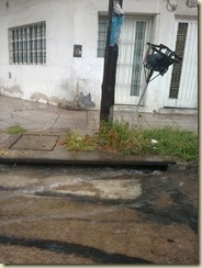 Foto0390 Foto0390