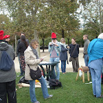 DSCN0334.JPG