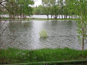 Берег реки Ахтуба