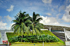 114_5_6_fused_DxO.jpg