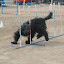 DSC_0066.JPG