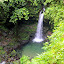 The Secluded Emerald Pool - Roseau, Dominica