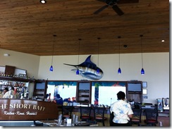 IMG_0958 IMG_0958