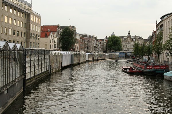 IMG_7341 IMG_7341