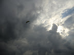 http://lh5.ggpht.com/-jK91ISQBSj0/Tgdix3xC7mI/AAAAAAAALDE/dPxjApWEaWE/s1600/CIMG0974.JPG