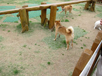 IMG_0502.JPG