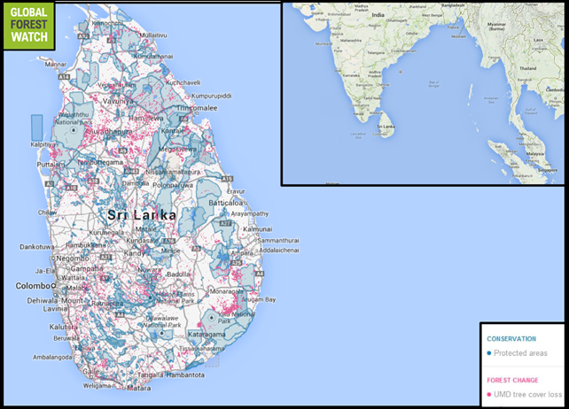 Deforestation in Sri Lanka. Sri Lanka has lost nearly 100,000 hectares in the last 14 years, representing nearly 1.5 percent of its land area. Graphic: Global Forest Watch