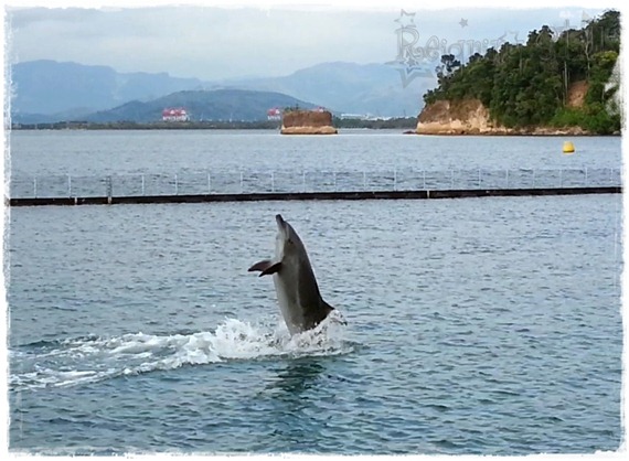 20130308_160502_210856