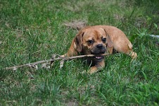 DSC_2223.JPG