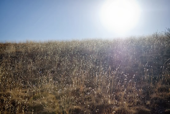 Garden of the Gods December-23