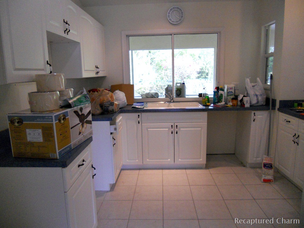 [Regal-Circle-023a4.jpg]