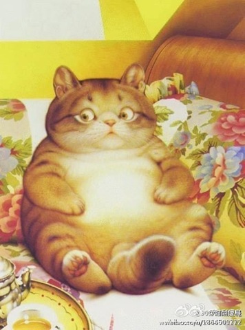 [fat%2520cat%255B2%255D.jpg]