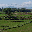 So green. So, so green. Reminds me of home.