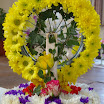 IMGP3213.JPG