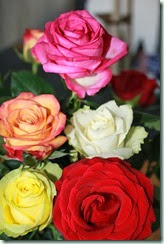 IMG_3520 IMG_3520