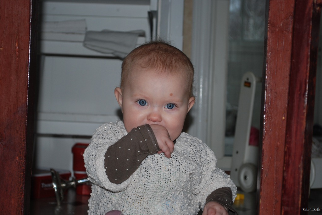 [DSC_0514%255B6%255D.jpg]