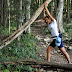 2011.09.11. - Trdinov vrh