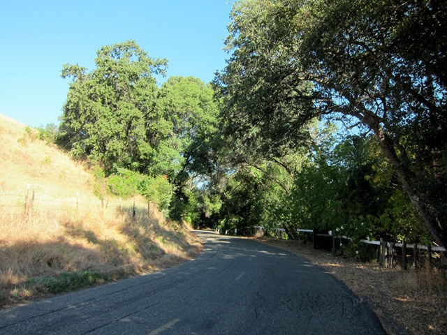 [IMG_1784%255B3%255D.jpg]