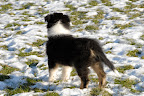 _DSC0009.JPG