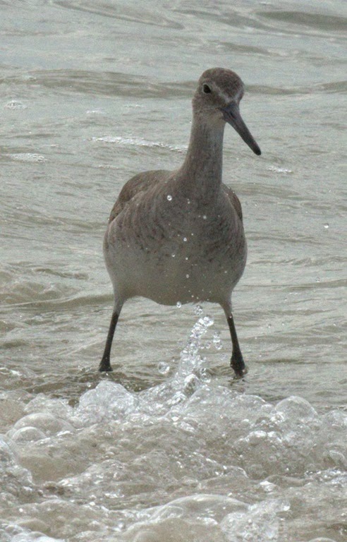 [St-Joe-SP_064.NEF4.jpg]