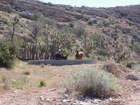 2011_05_CORE_Bar10_012.jpg Photo